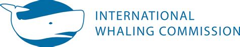 iwc whaling commission|which countries are still whaling.